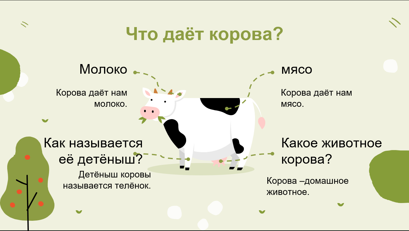 Мэдлээ | Цахим контент